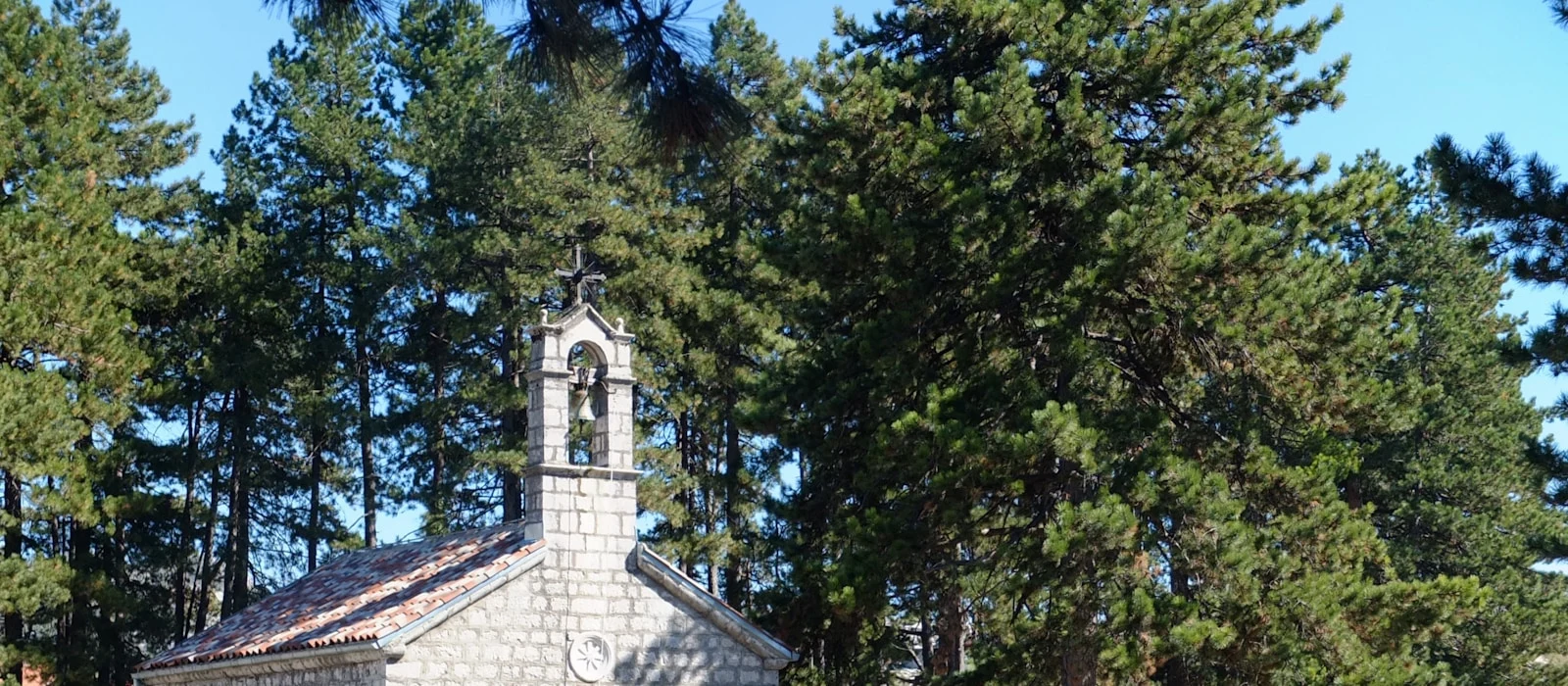 Friedhofsanlage mit Bäumen und Gräbern